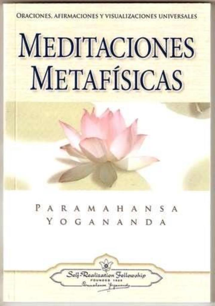 MEDITACIONES METAFISICAS - 2010