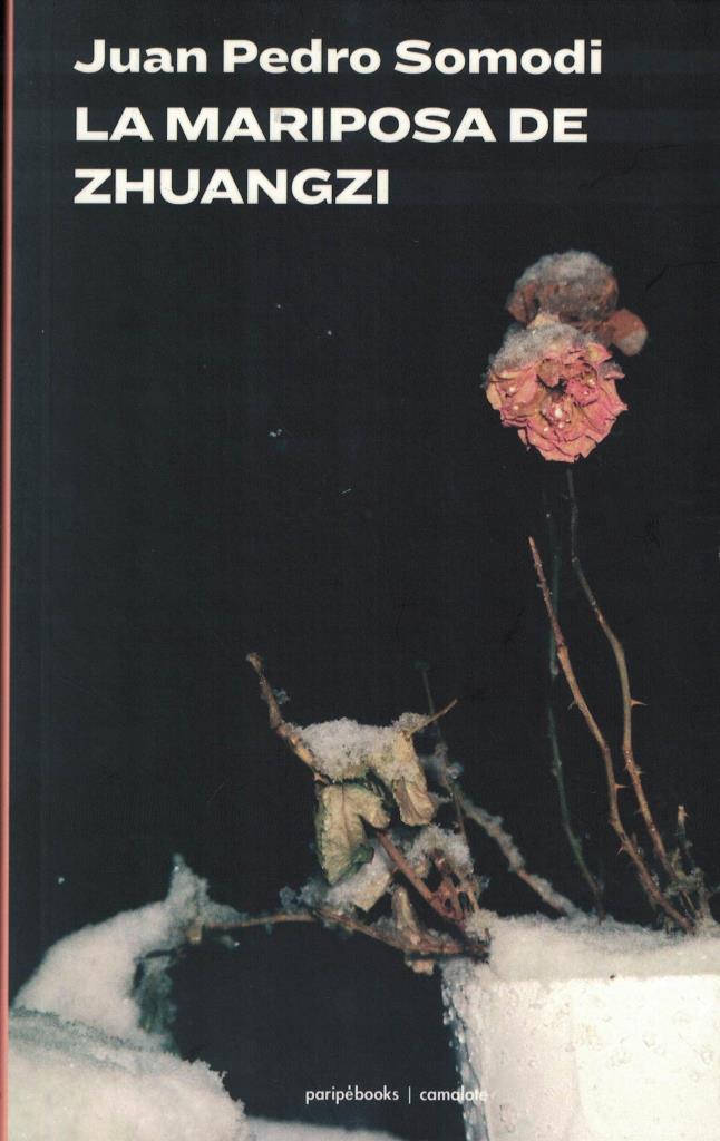 MARIPOSA DEL ZHUANGZI, LA