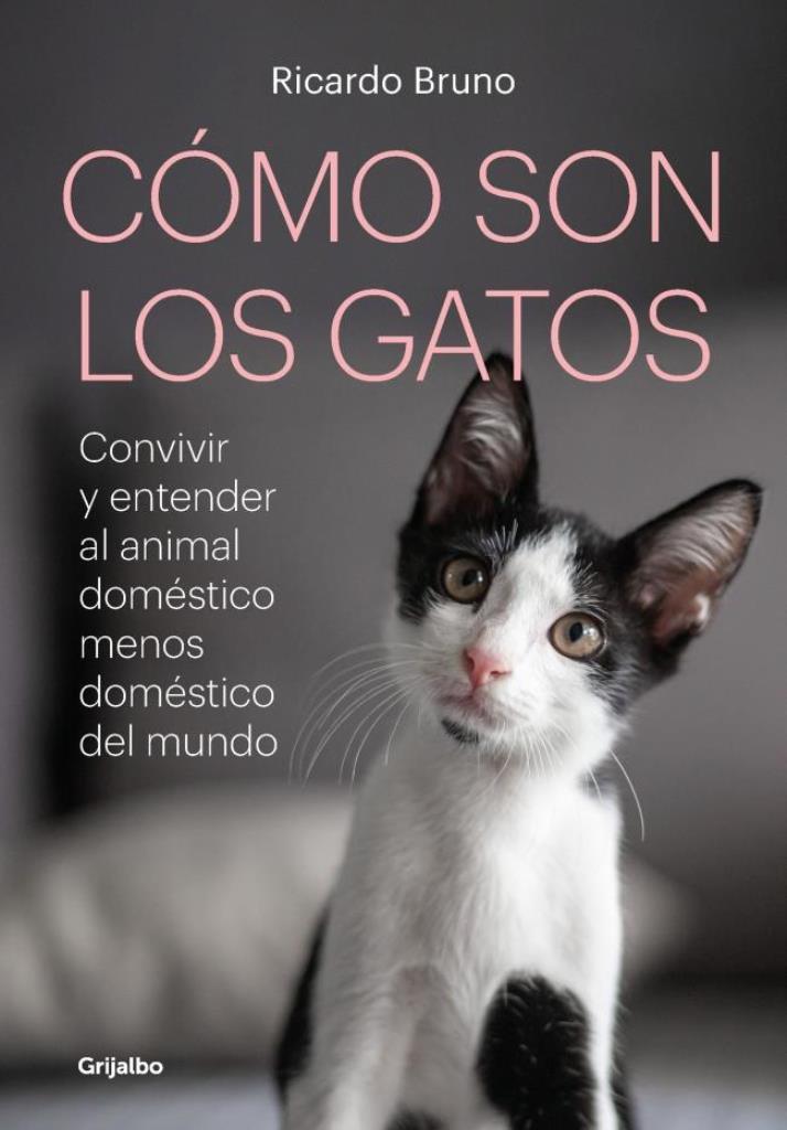 COMO SON LOS GATOS