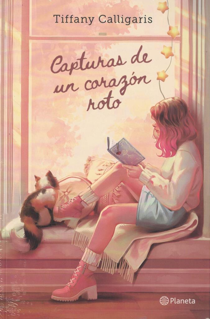 CAPTURAS DE UN CORAZON ROTO