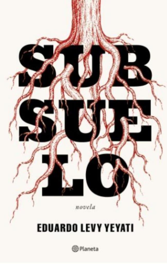 SUBSUELO