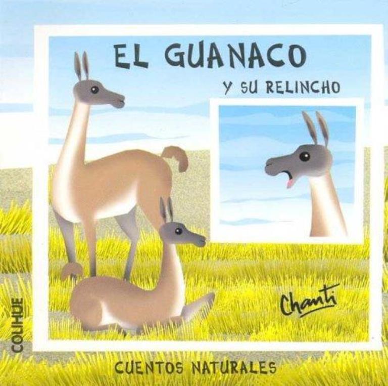 GUANACO Y SU RELINCHO, EL