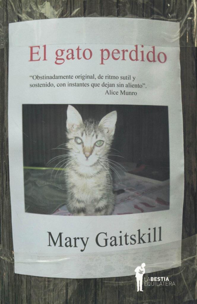 GATO PERDIDO, EL