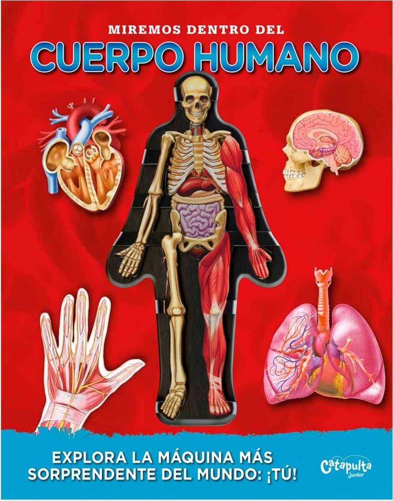 MIREMOS DENTRO DEL CUERPO HUMANO - 2018